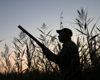 В Смоленской области учредитель охотхозяйства случайно застрелил мужчину