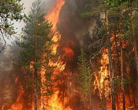Смоленская область вошла в число пожароопасных регионов