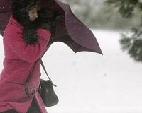 МЧС: 29 января в Смоленской области ожидается сильный ветер