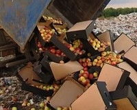В Смоленской области уничтожили более четырех тонн томатов и яблок