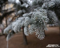 Декабрь в Смоленске не будет холодным и снежным