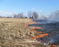 У жительницы Смоленской области сгорела дача из-за пала травы