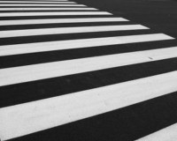 Благодаря «Охоте на зебру» пешеходные переходы в Смоленской области приводят в порядок