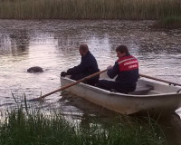 В Починковском районе утонул мужчина