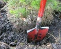 Под Смоленском подозреваемый в убийстве пытался закопать тело в огороде