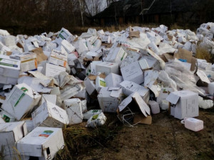 В Смоленской области обнаружена свалка отходов ядохимикатов
