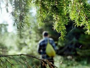 В Ельнинском лесу заблудился мужчина