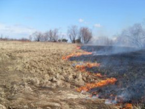 У жительницы Смоленской области сгорела дача из-за пала травы