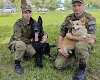 В Смоленске кинологи выявили более 10 кг подконтрольных веществ