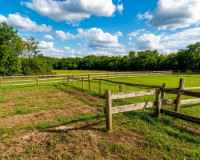Смолянину за мошенничество с долями огромного земельного участка вынесли приговор