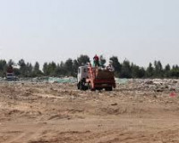 В Смоленской области уничтожили 20 тонн куриного мяса