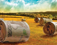 Смоленский аграрий нагрел бюджет на 11 миллионов рублей