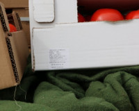 17 тонн помидоров измельчили и закопали