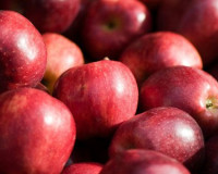 Прибывшие из Белоруссии груши оказались яблоками