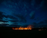 Жителей Смоленская области штрафуют за палы травы