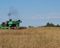 В Смоленских колониях собирают урожай