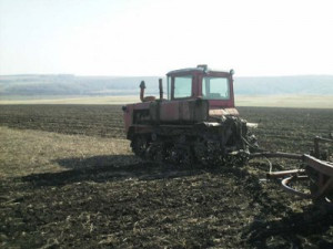 На сельское хозяйство в следующем году выделят меньше денег