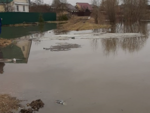 Фото: Под Смоленском из-за паводка затопило жилые дома