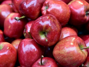 В Смоленске сотрудники таможни задержали контрабандные яблоки на 3 млн рублей