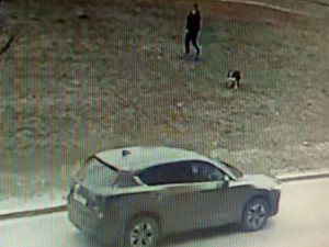 Неустановленный автомобилист на глазах у двоих детей переехал собаку (видео)