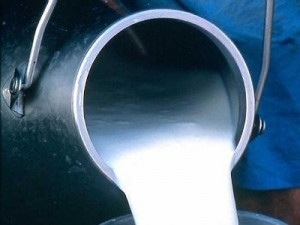 Для смоленских аграриев федеральный центр выделил 269 миллионов рублей