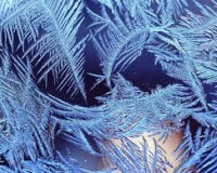 В Смоленске и области 9 ноября ожидаются ночные морозы