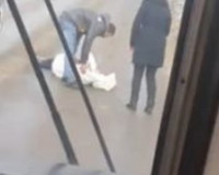Видео: В Смоленске сбили молодую девушку на пешеходной «зебре»