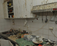 Видео: Жительница Смоленска обустроила в квартире голубятню