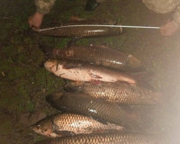 Браконьер поймал более 18 килограммов рыбы