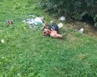 Видео: На детской площадке обнаружили отрубленную голову животного