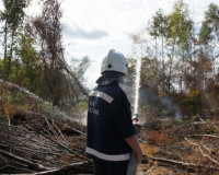 Тульские спасатели борются с пожарами на Смоленщине