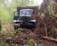 В Смоленской области поймали «черных» лесорубов