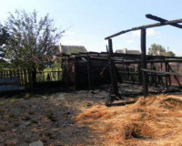 Семь рулонов сена общим весом более пяти тонн сгорели в Смоленском районе