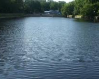 Роспотребнадзор: состояние воды в водоемах Смоленска отвечает санитарным требованиям