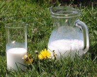 20 тонн молока из Витебска не пустили в Смоленскую область