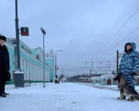 В Смоленске с поезда сняли неадекватного пассажира с наркотическими веществами
