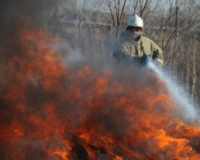 В Смоленской области неизвестные подожгли автомобиль ГАЗ