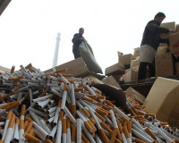 В области выросла контрабанда контрафактных сигарет