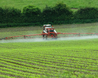 На Смоленщине выявили повышенный уровень пестицидов в растительной продукции