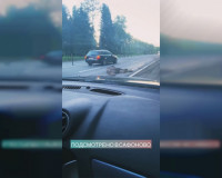 В Смоленской области произошла авария с участием лося (видео)