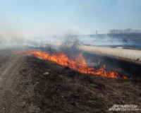 Жители Смоленщины подожгли 60 гектаров травы