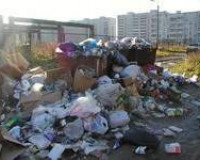 В Смоленске не справляются с уборкой мусора