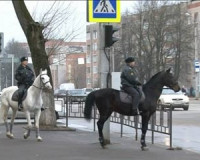 За порядком в Смоленске будет следить конная полиция