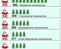 В Смоленской области заготовят к Новому году шесть тысяч елей