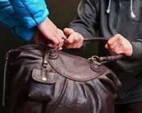Заметив патрульных, грабители успели выбросить женскую сумку