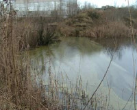 Из-за аварии на Смоленской ТЭЦ-2 в водоем попали нефтепродукты