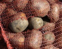 Сотрудники смоленского ФСБ  задержали белорусский картофель