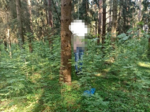 В лесу под Смоленском нашли повешенного молодого человека