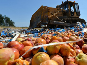 В Смоленской области «похоронили» более 18 тонн персиков