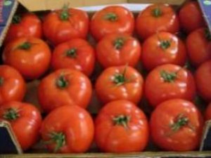 В Смоленскую область не пустили белорусские томаты